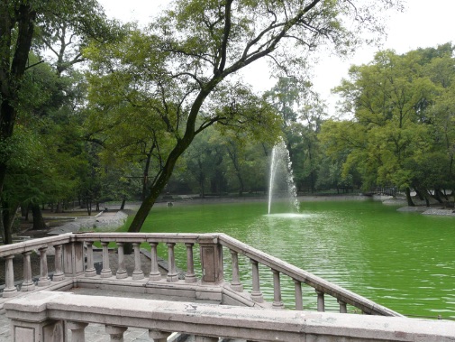 que-hacer-en-el-bosque-de-chapultepec-lago